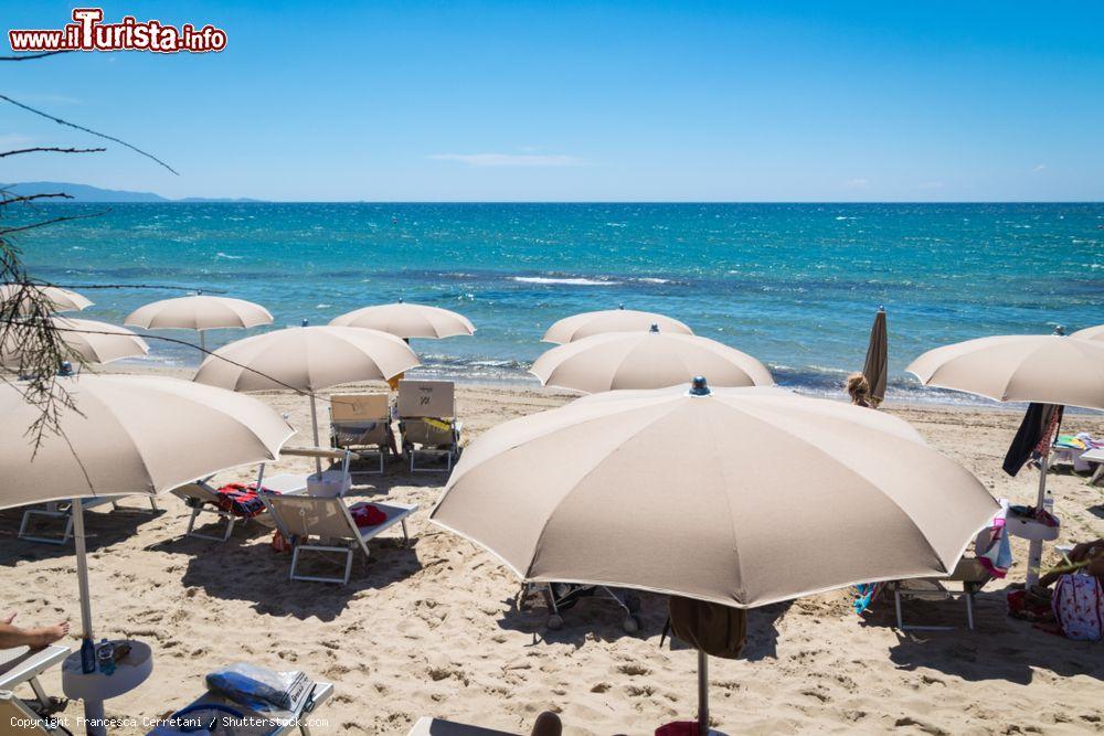 Immagine Una spiaggia sulla costa che da Torre Mozza va a Piombino, nei pressi di Riotorto in Toscana - © Francesca Cerretani / Shutterstock.com