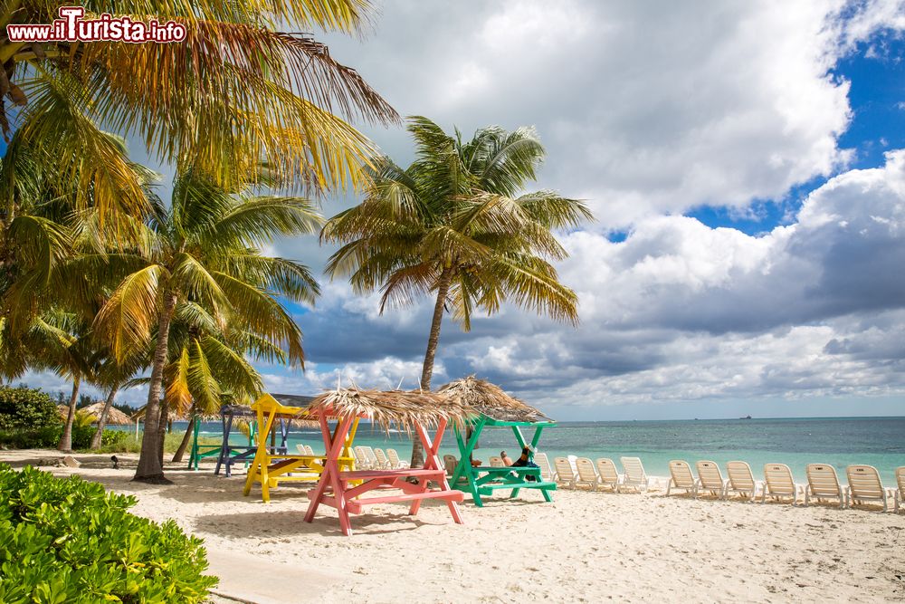 Immagine Una spiaggia tropicale con palme, sdraio e tavoli da pic-nic a Nassau, New Providence, Bahamas.