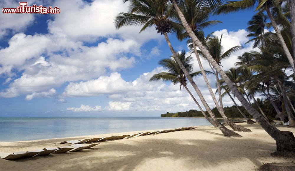 Immagine Una spiaggia tropicale con palme sull'isola di Dominica, Caraibi.