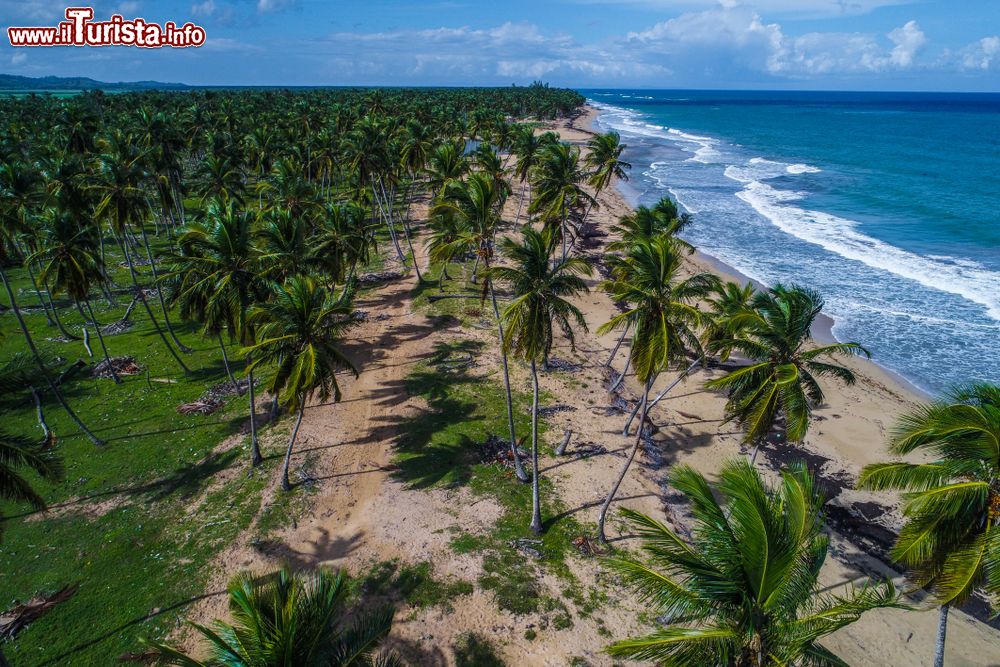 Immagine Una spiaggia tropicale di Puerto Plata fotografata da un drone, Repubblica Dominicana.
