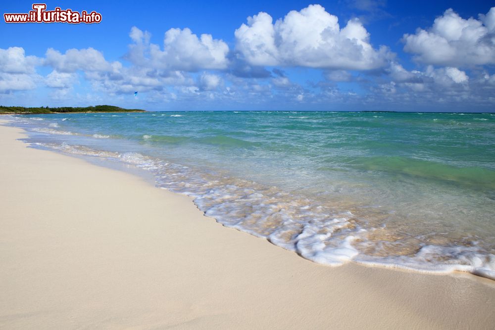 Immagine Una bella spiaggia tropicale, isola di Cayo Guillermo, nord di Cuba