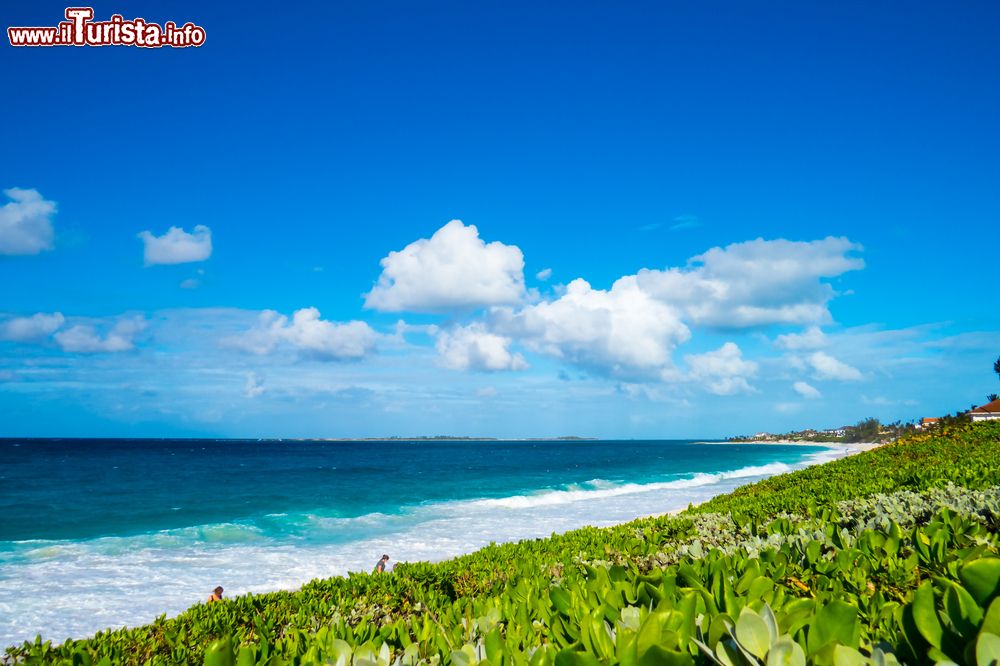 Immagine Una spledida vista sull'oceano e sulla spiaggia a Nassau, isola di New Providence, Bahamas. Milioni di turisti scelgono quest'isola con le sua spiagge per vivere un'esperienza unica nelle acque dell'oceano Atlantico.