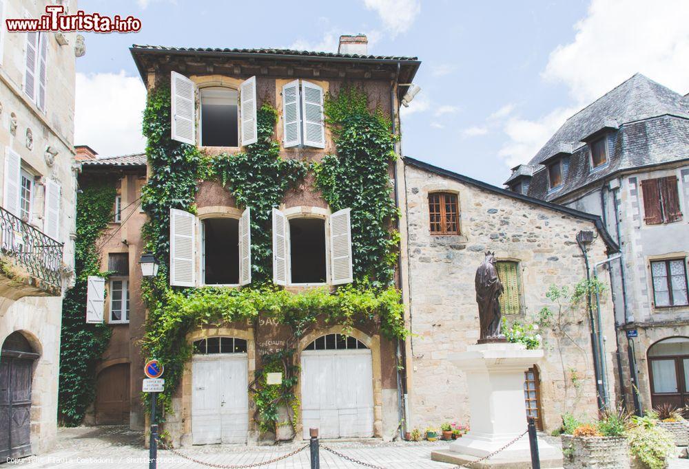 Immagine Una splendida casa ricoperta di edera nel centro di Beaulieu-sur-Dordogne, Francia  - © Flavia Costadoni / Shutterstock.com