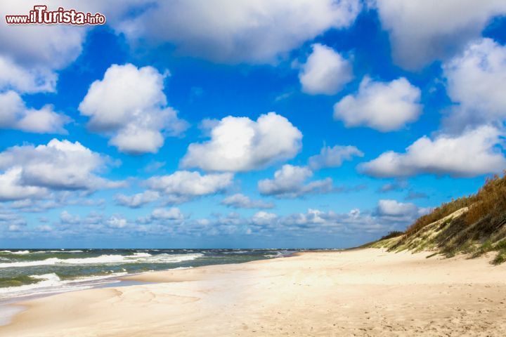 Immagine Spiaggia della costa baltica della Lituania, Repubbliche Baltiche- © sergeisimonov / shutterstock.com