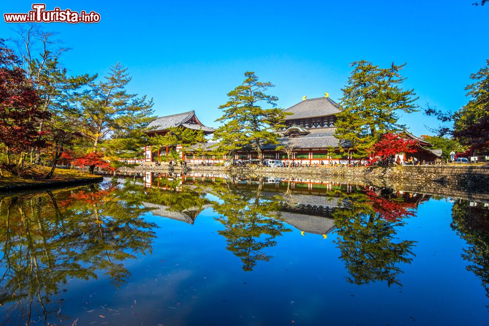 Immagine Una splendida veduta autunnale del Todai-ji Temple di Nara, Giappone. Il tempio è stato dichiarato patrimonio dell'umanità dall'Unesco.