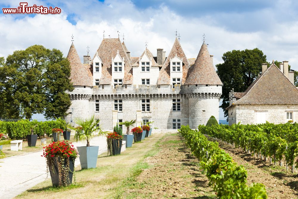 Immagine Una splendida veduta del castello di Monbazillac con i vigneti, Bergerac, Francia: questa dimora rinascimentale del XVI° secolo ospita mobili d'epoca e una cantina in cui è possibile degustare e acquistare ottimi vini.