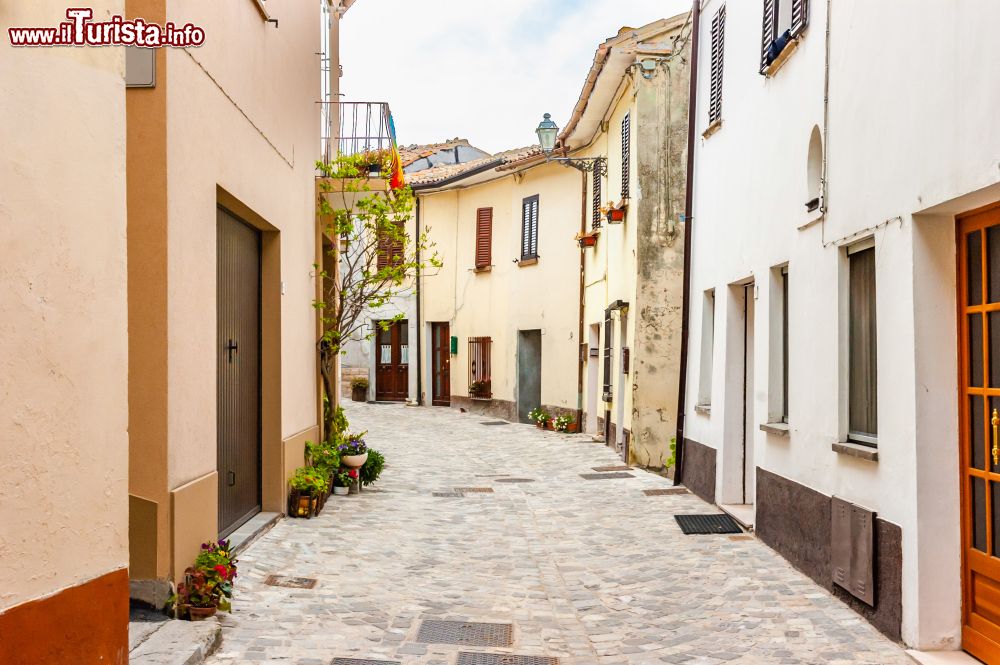 Immagine Una strada del centro di Monte Grimano Terme, borgo del Montefeltro, regione storica delle Marche