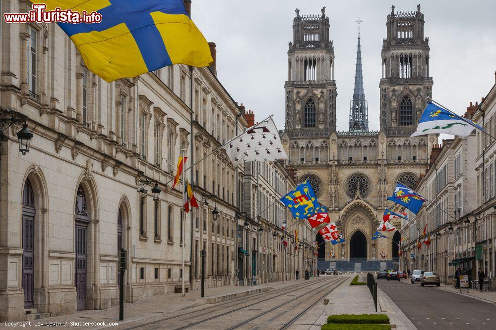 Immagine Una strada del centro storico che condue alla cattedrale di Orléans, Francia - © Lev Levin / Shutterstock.com
