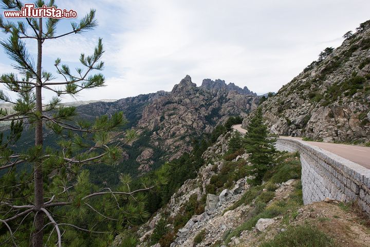 Immagine Una strada del Passo di Bavella, situato sulle omonime cime della Corsica sud-orientale - il territorio delle Cime di Bavella, sito nella regione della Costa della Madreperla, è ormai da diversi anni una meta decisamente gettonata dai turisti che, in Corsica, cercano sia mare e spiagge e sia natura selvaggia e sport. In questa zona, ad esempio, è possibile praticare una lunga serie di attività sportive quali arrampicate, escursioni, canyoning sul fiume Solenzare, mountain-bike e trekking. 