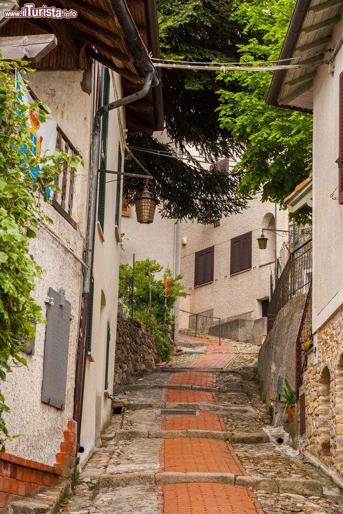Immagine Una strada del Principato di Seborga, il borgo Ligure che ha proclamato una sorta di autonomia