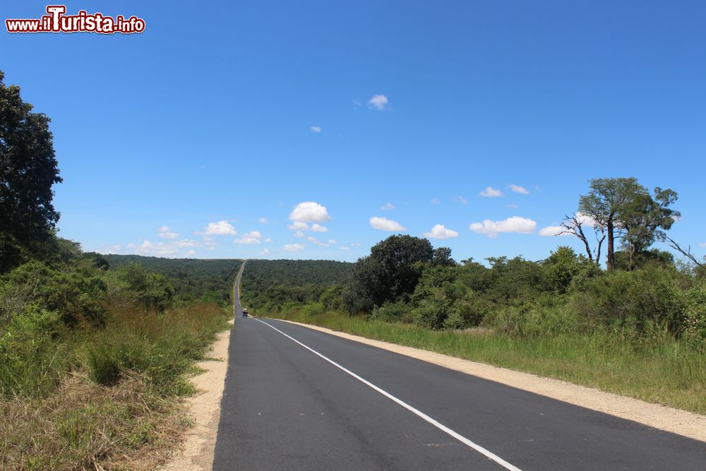 Immagine Una strada deserta nei pressi del Parco Nazionale Zombitse-Vohibasia, Madagascar. Quest'area naturale è raggiungibile attraverso la Route Nationale 7 che collega Antananarivo a Toliara.