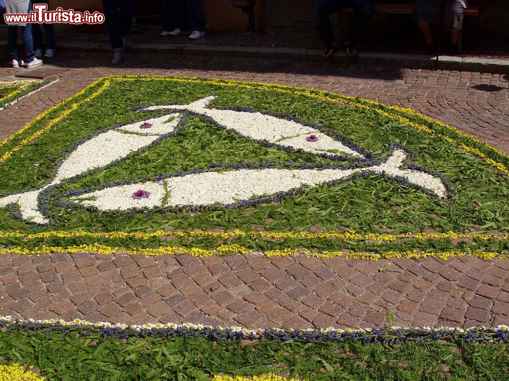 Immagine Una strada di FIumalbo durante l'infiorata del Corpus Domini - © Massic80, CC BY-SA 3.0, Wikipedia