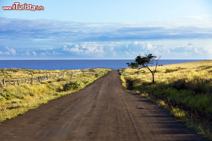 Immagine Una strada ghiaiata sull'isola di Pasqua, Cile, Sud America - © 120622294 / Shutterstock.com