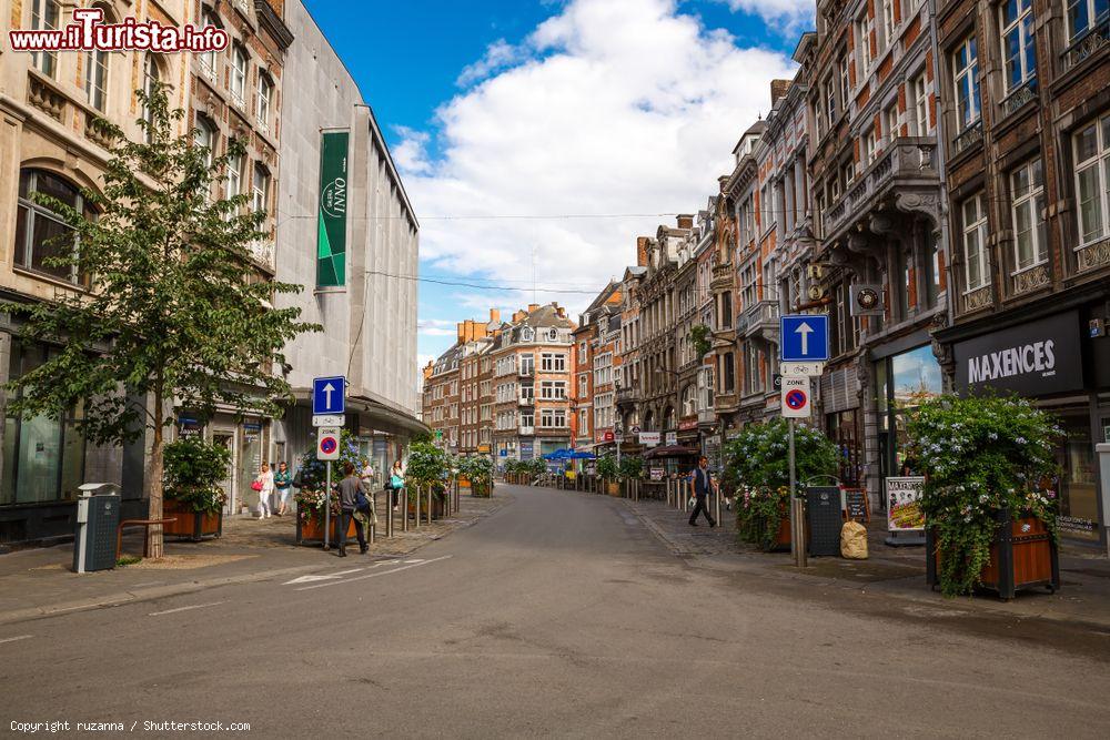Immagine Una strada nel centro storico di Namur, capitale della Vallonia (Belgio) - © ruzanna / Shutterstock.com