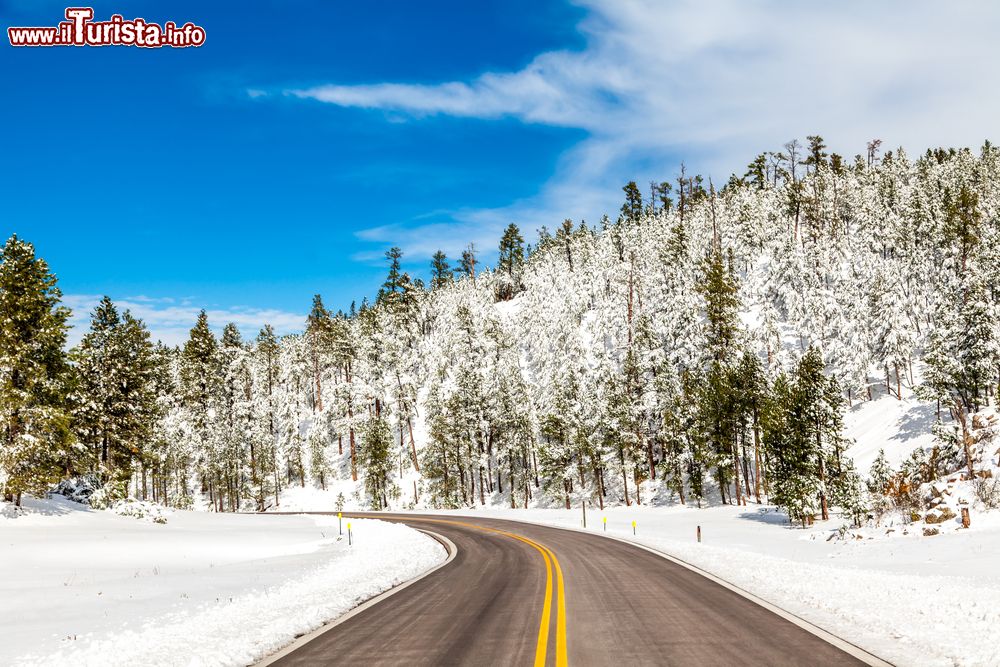 Immagine Una strada nel paesaggio invernale delle Black Hills in South Dakota (USA)