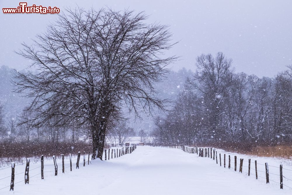 Immagine Una strada ricoperta dalla neve nella vallata di Cades Cove sulle Great Smoky Mountains (USA).  E' una delle zone più frequentate da chi si reca in visita in questo territorio fra Tennessee e Carolina del Sud.