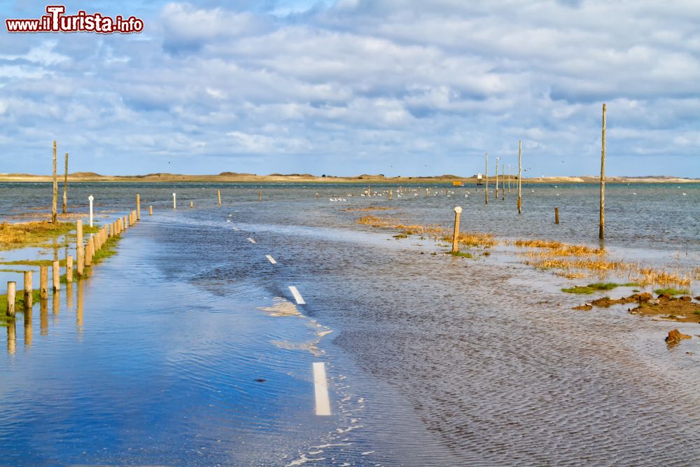 Immagine Una strada sommersa fra Beal e l'isola di Lindisfarne, Northumberland, Inghilterra.