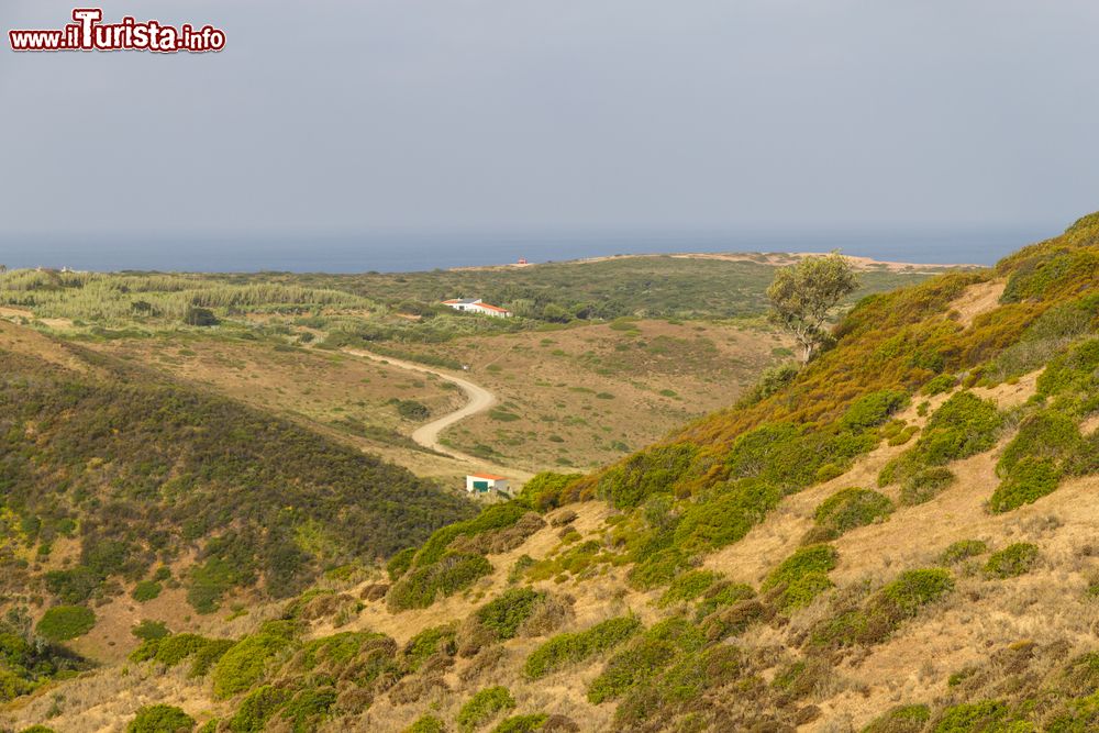 Immagine Una strada tortuosa fra la vegetazione a Carrapateira, Algarve, Portogallo.