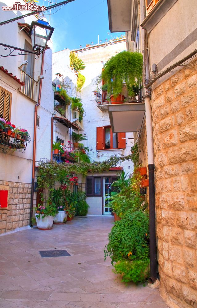 Immagine Una stradina abbellita da fiori nel borgo di Rutigliano, Puglia. Il paese è fiorito sotto l'egida del normanno Ugo Bassavilla agli inizi del XII° secolo.