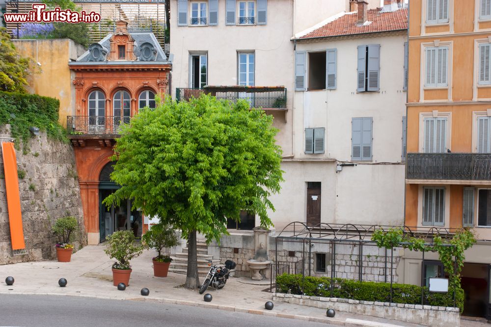 Immagine Una stradina colorata di Grasse con un grande albero verde, Francia.