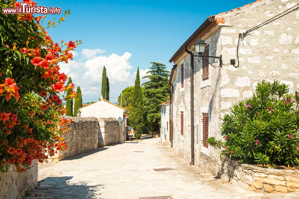 Immagine Una stradina della città medievale di Vrsar, Croazia. Meta di turismo internazionale, Orsera - questo il nome italiano della località croata - è famosa per le spiagge e le coste frastagliate.