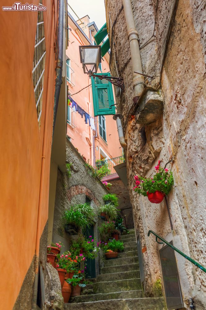 Immagine Una stretta scalinata nel cuore di Riomaggiore, La Spezia, Liguria. In questo villaggio le abitazioni seguono lo schema delle case torri sviluppandosi in altezza per tre o quattro piani.