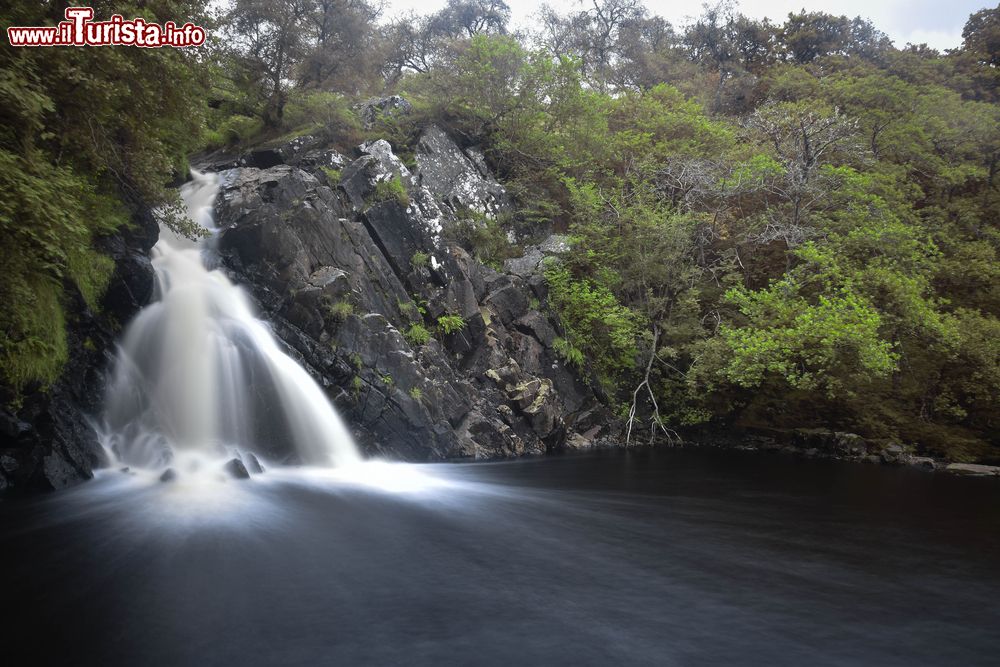 Immagine Una suggestiva immagine delle Torball Falls di Dornoch, Scozia.