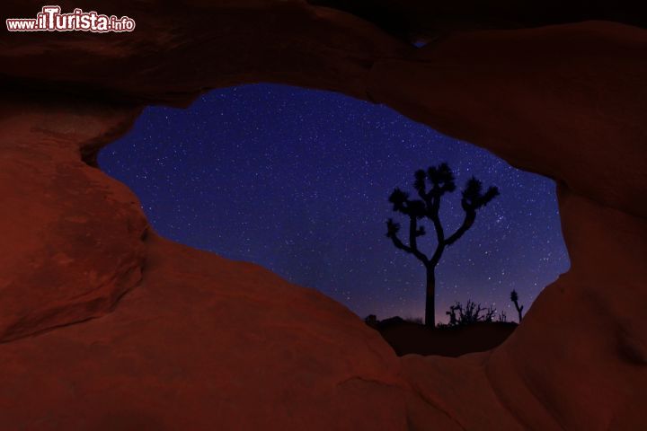 Immagine Una suggestiva veduta by night del cielo al Joshua Tree National Park, California - © tobkatrina / Shutterstock.com