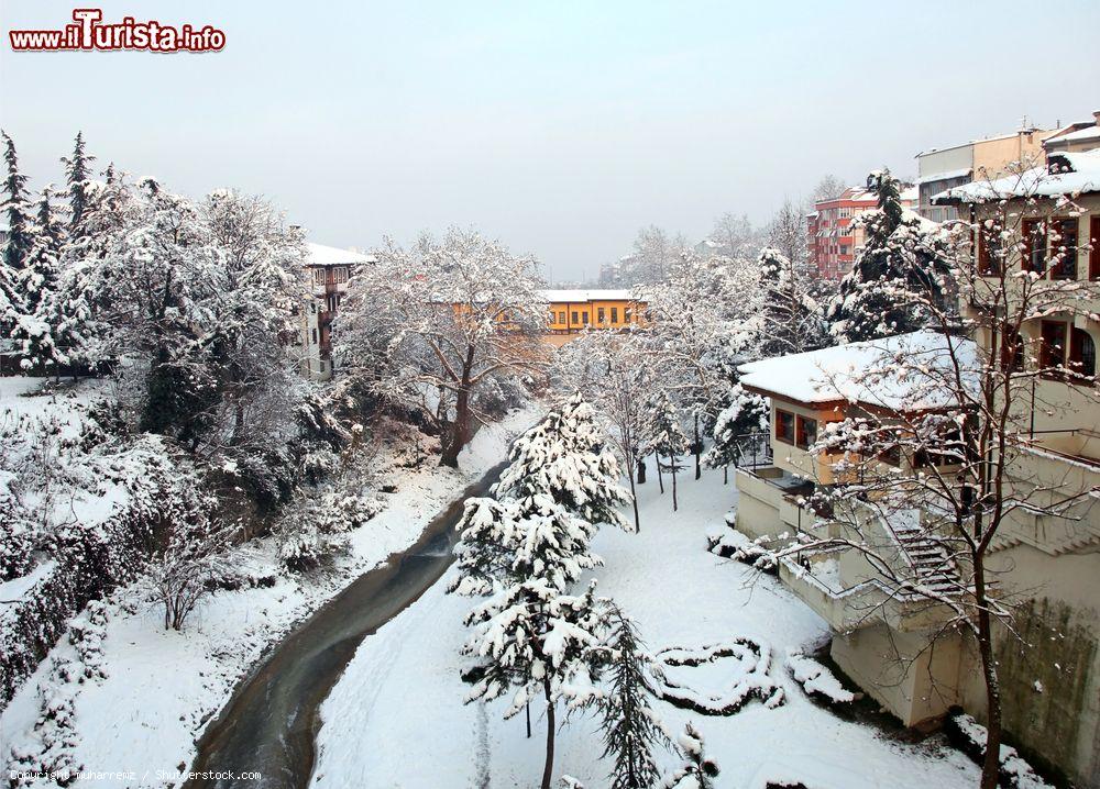 Immagine Una suggestiva veduta del ponte di Irgandi a Bursa in inverno durante una nevicata (Turchia). Questo ponte vanta una straordinaria architettura ed è uno dei simboli della città - © muharremz / Shutterstock.com