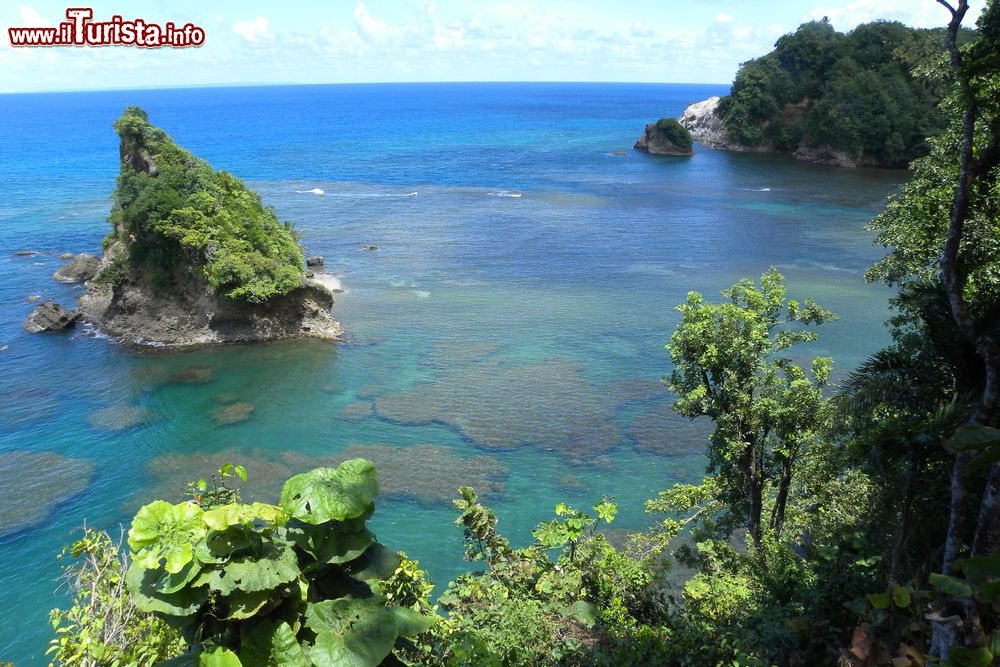 Immagine Una suggestiva veduta dell'Oceano Atlantico con scogliere e rocce a Dominica, Caraibi.