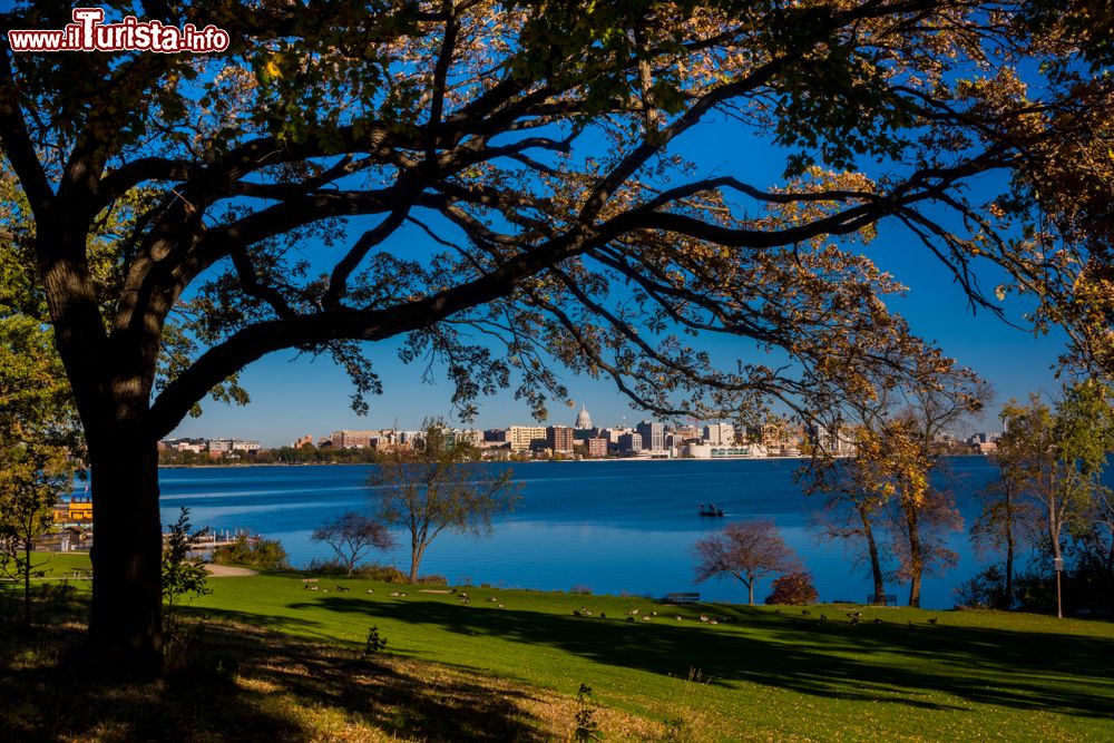 Immagine Una suggestiva veduta panoramica della skyline di Madison, Wisconsin (USA).