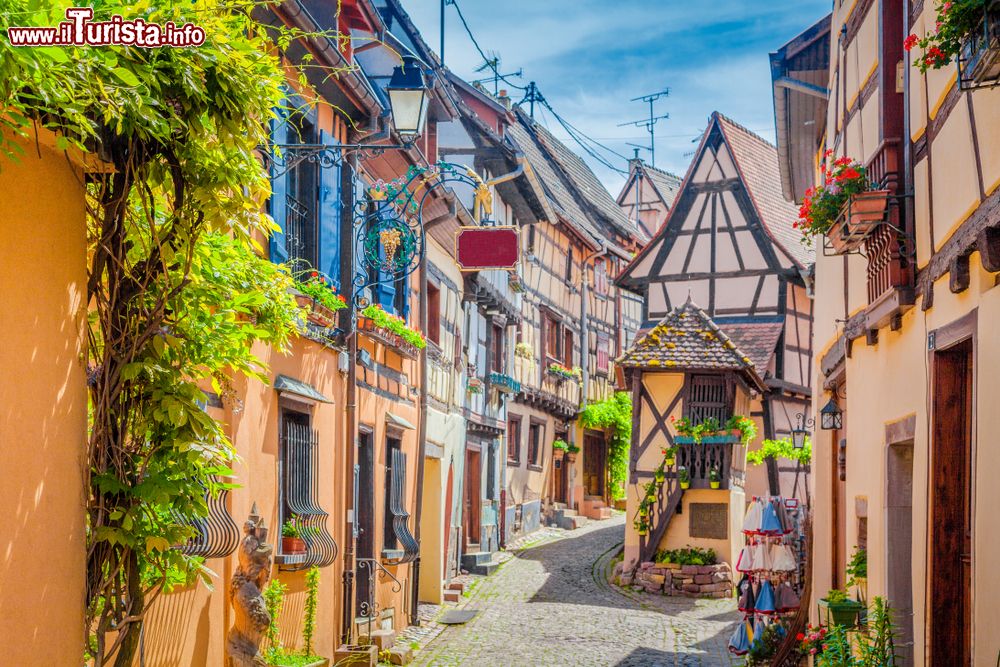 Immagine Una suggestiva viuzza del centro storico di Eguisheim (Francia) con la tipica architettura alsaziana.