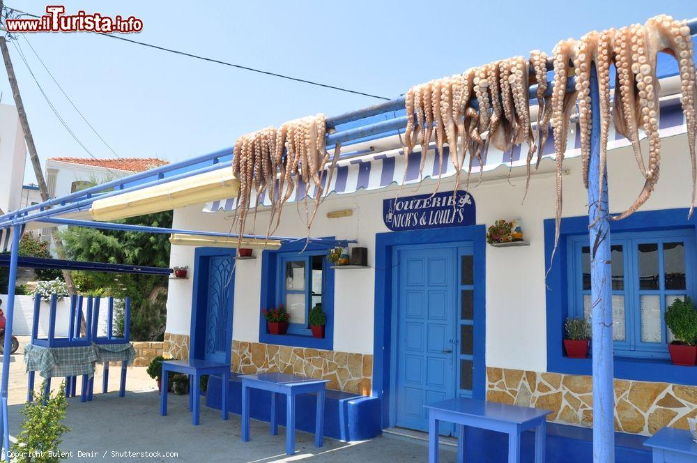 Immagine Una taverna greca a Lipsi, piccola isola nel Mar Egeo, Dodecaneso: polpi stesi al sole per essiccare  - © Bulent Demir / Shutterstock.com