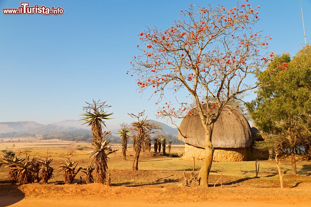 Immagine Una tipica capanna in pietra e paglia nella riserva Mlilwane Wildlife, Swaziland, Africa.