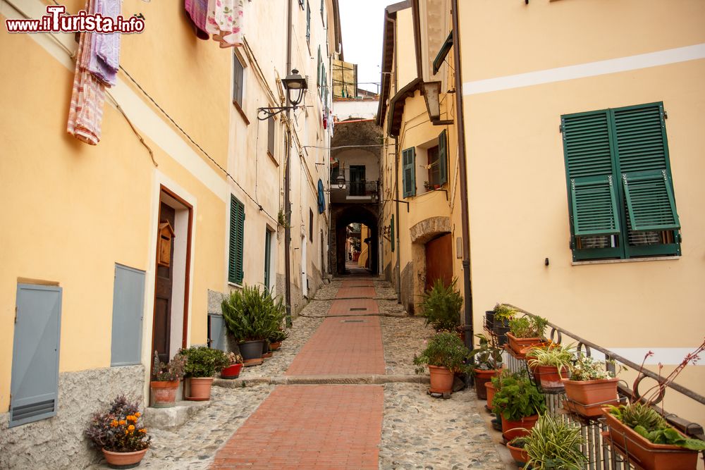 Immagine Una tipica stradina del borgo antico di Ventimiglia, Liguria.