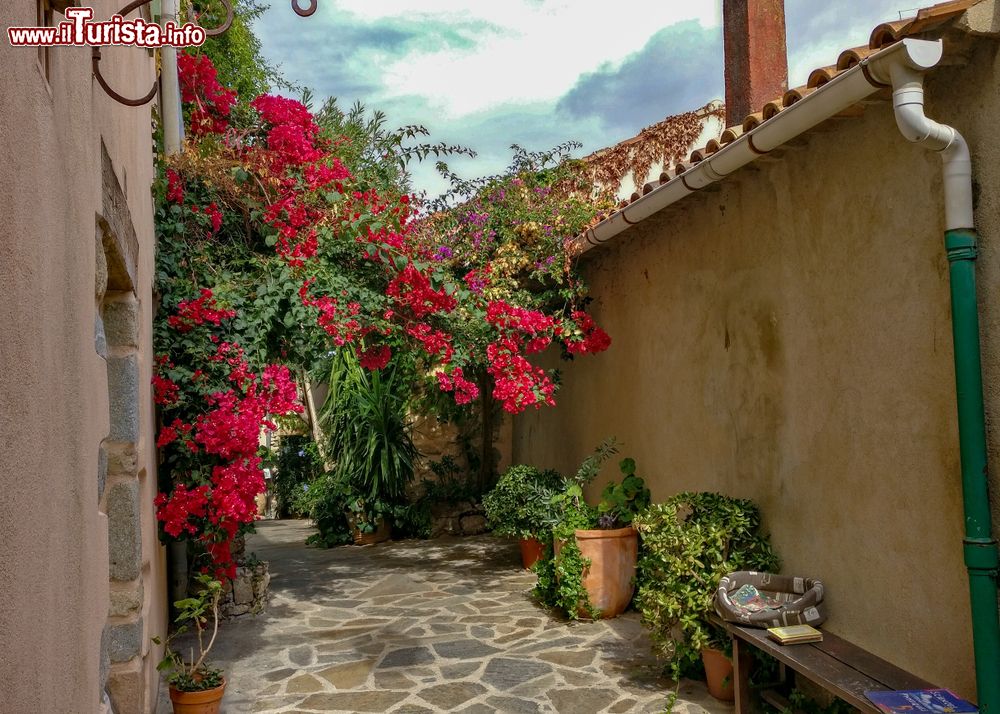 Immagine Una tipica stradina del borgo medievale di Ramatuelle, Costa Azzurra (Francia), con colorate bouganville in fiore.