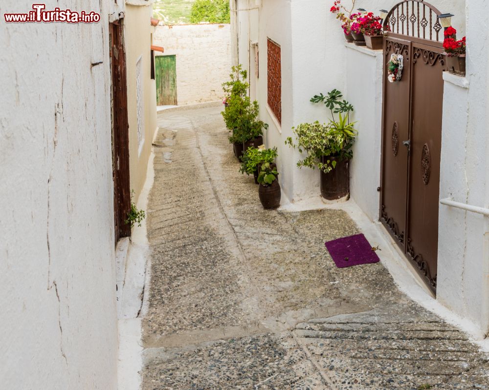 Immagine Una tipica stradina del centro di Omodos, Cipro: passeggiando fra i vicoli di questo delizioso borgo se ne scoprono gli angoli più caratteristici.