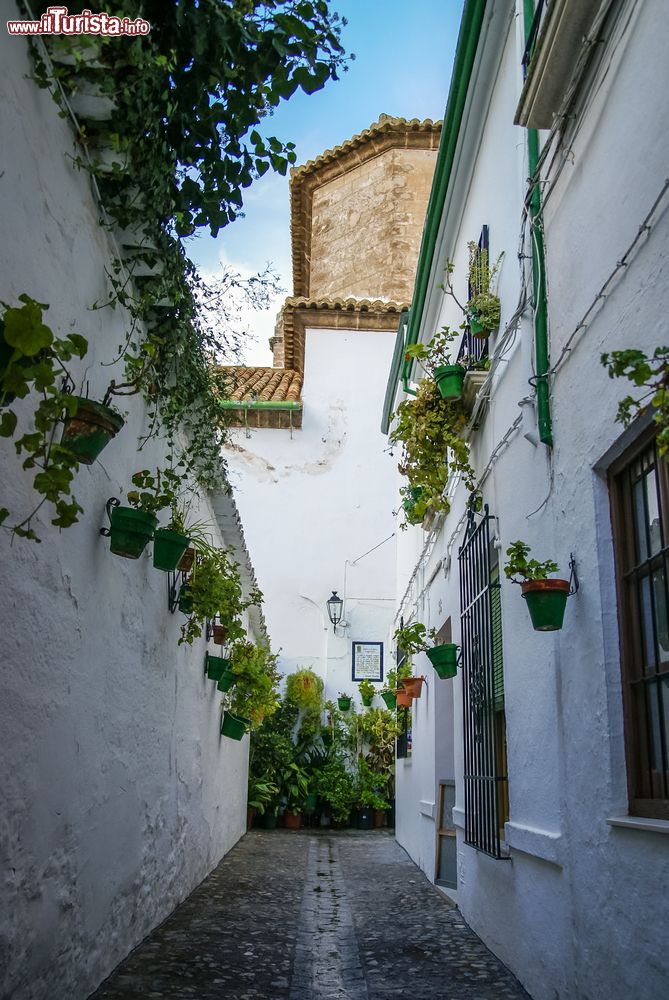 Immagine Una tipica viuzza nel centro cittadino di Priego de Cordoba, Andalusia, Spagna.