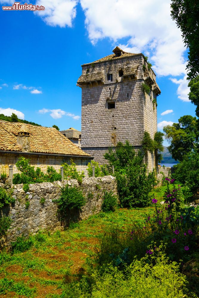 Immagine Una torre del 16° secolo nella cittadina di Sudurad a Sipan, isole Elafiti, Croazia