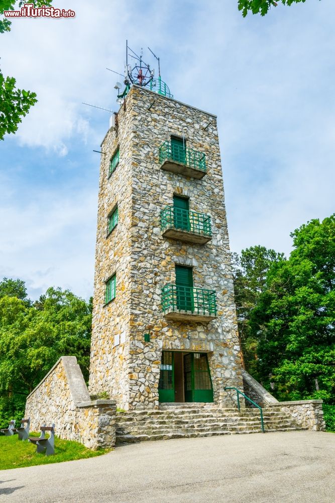 Immagine Una torre di avvistamento in pietra nei pressi di Sopron, Ungheria.