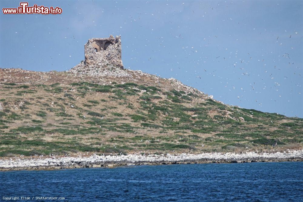 Immagine Una torre di osservazione sull'Isola delle Femmine in provincia di Palermo - © Elide / Shutterstock.com