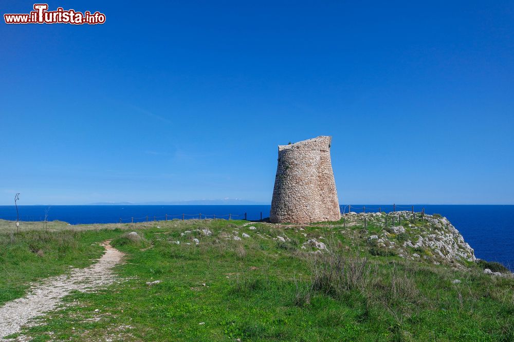 Immagine Una torre d'osservazione aragonese vicino a Porto Badisco nel Salento.
