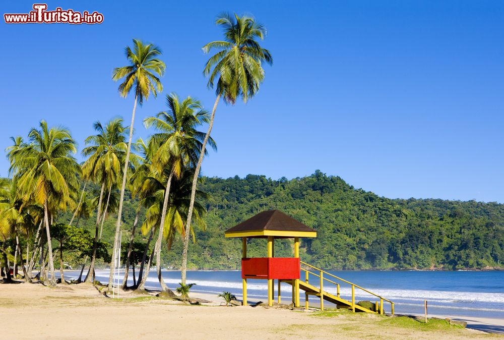 Immagine Una torretta di avvistamento per i bagnini a Maracas Bay, isola di Trinidad, America Centrale.