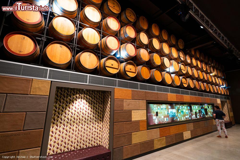 Immagine Una turista in visita al National Wine Centre of Australia di Adelaide: in questa sala, botti in legno per il vino e display con informazioni - © Keitma / Shutterstock.com