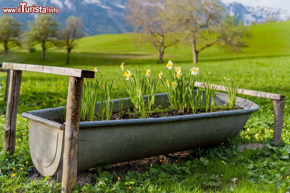 Immagine Una vasca trasformata in fiorera a Bad Aussee in Austria