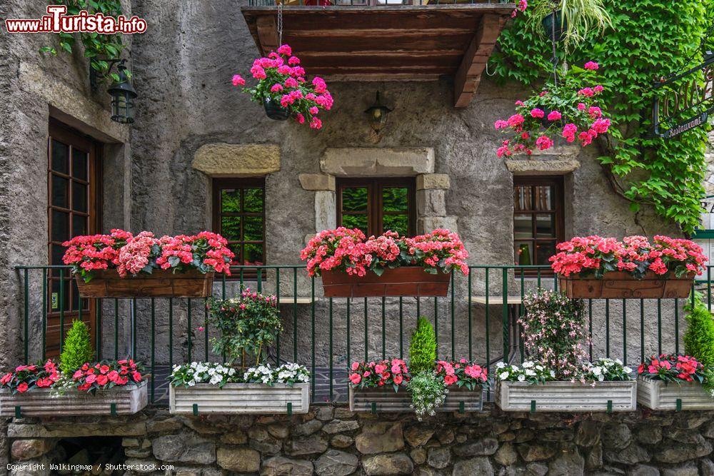 Immagine Francia, regione Auvergne Rhône-Alpes: una vecchia casa in pietra nel borgo di Yvoire - © Walkingmap / Shutterstock.com