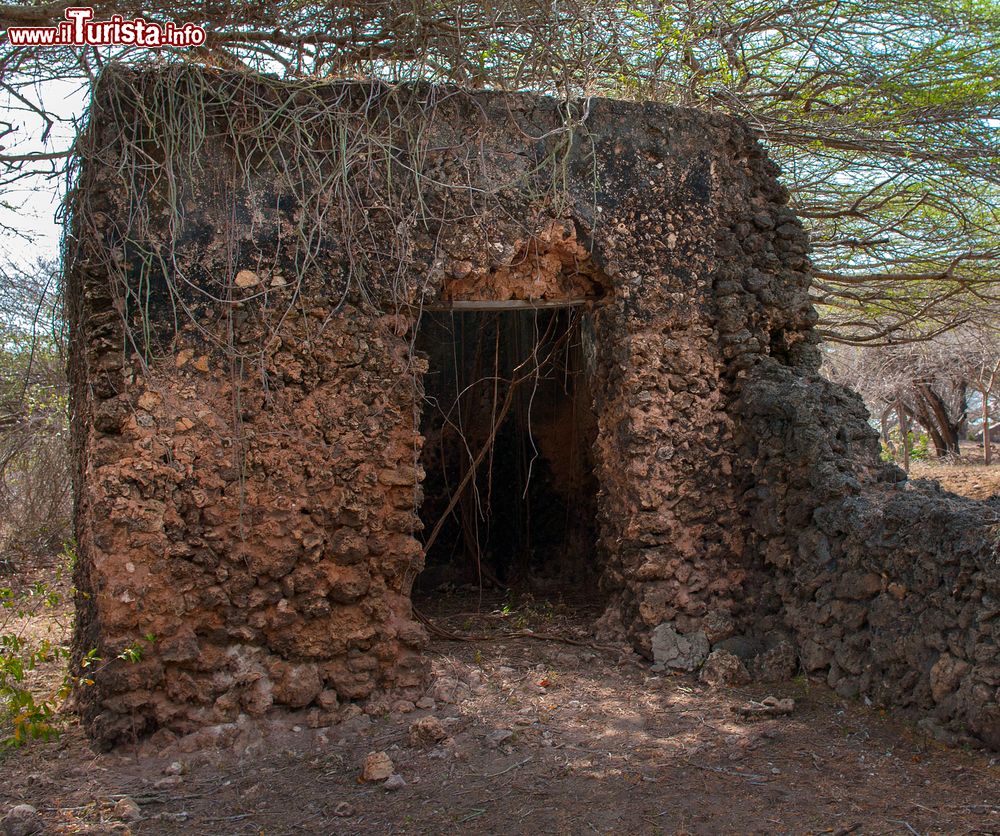 Immagine Una vecchia costruzione del villaggio di Takwa, Manda Island, Kenya. I materiali con cui vengono edificate le case sono di provenienza locale: calcare corallino e legno di mangrovia.