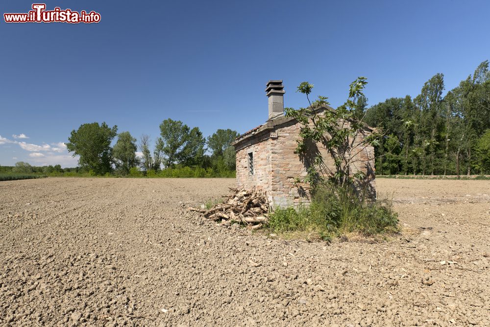 Immagine Una vecchia costruzione rurale in un campo di mais a Gualtieri, provincia di Reggio Emilia (Emilia Romagna).