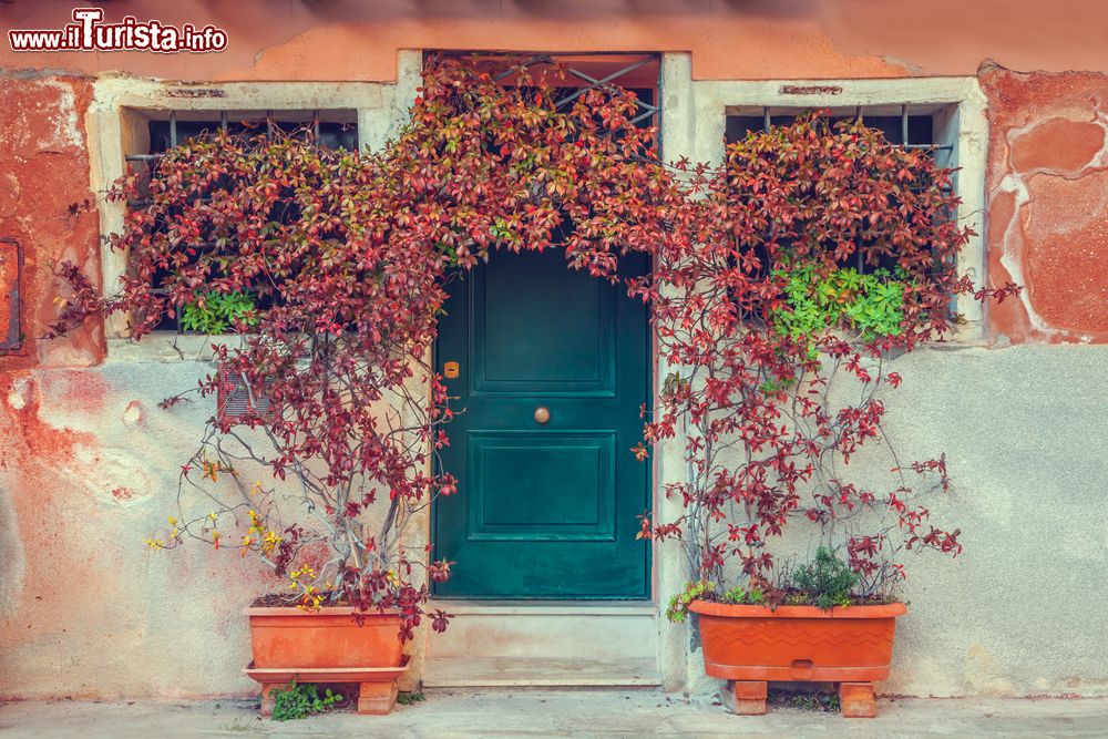 Immagine Una vecchia porta nel centro storico di Sogliano in Romagna