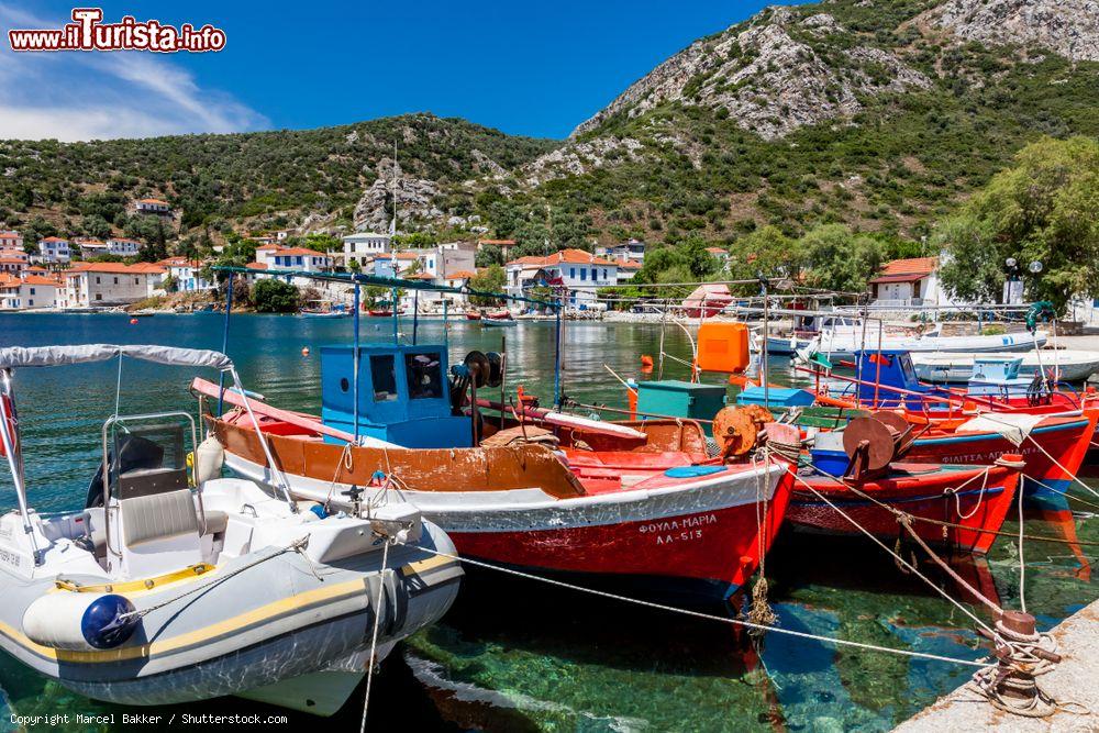 Immagine Una veduta del porto greco di Trikeri con le tipiche barche da pesca, Tessaglia - © Marcel Bakker / Shutterstock.com